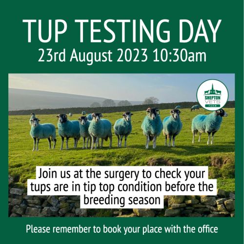 TUP testing day August 2023